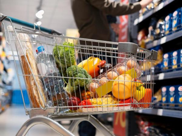 Alimentação