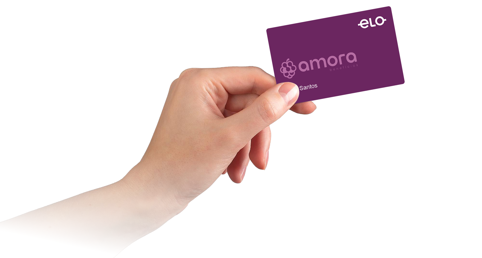 Sobre a Amora